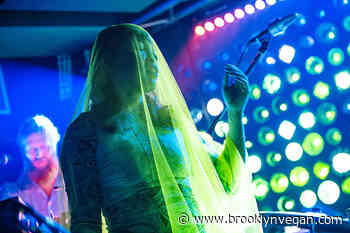 Little Dragon celebrated 'Slugs of Love' with 2 Brooklyn shows: pics, setlist, video from Baby's All Right