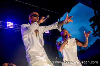 Pics: dead prez, th1rt3en & Large Professor at SummerStage in Von King Park