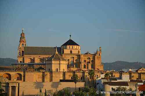 Klimaschutz: DER Touristik kauft SAF bei Lufthansa