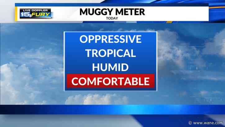 A comfortable day with less humidity