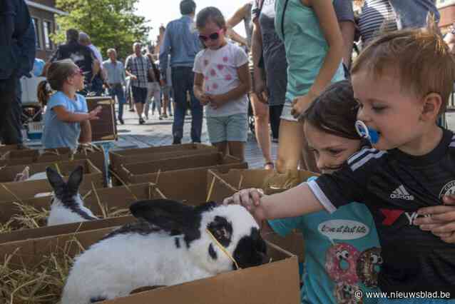 “Donderslag bij heldere hemel”: al bijna 140 jaar traditie, maar nu dreigen nieuwe regels eind te maken aan ‘konijnenmarkt’