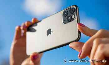 Wonky photos? iPhone trick automatically straightens out your snaps - here's how to try it