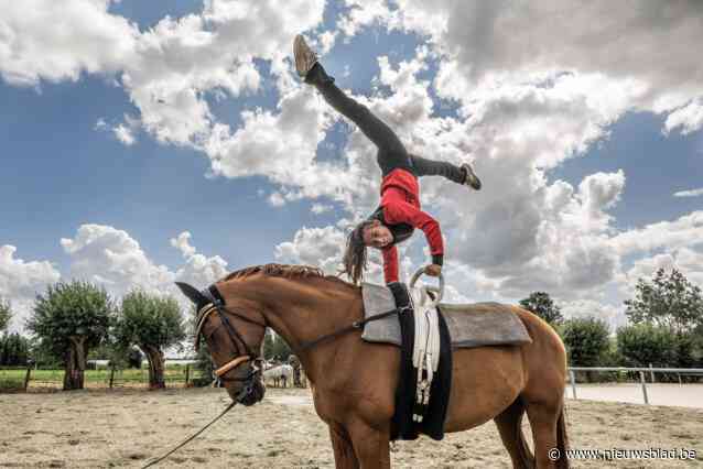 Sportvrouw van het jaar maakt zich op voor Europees kampioenschap voltige: “In deze sport komen veel aspecten samen”