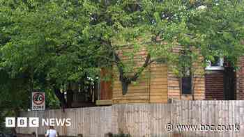 Daughter's 'dream' Grimsby treehouse saved from demolition