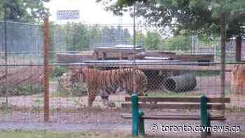 Ontario ranked last among Canadian provinces for roadside zoos