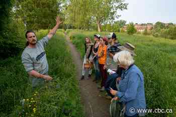 Feeling the pinch from high grocery bills? A group in Thunder Bay has an interesting way to help