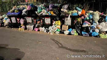 Le strade della Cassia invase dai rifiuti: "Non si passa nemmeno più con l'auto"