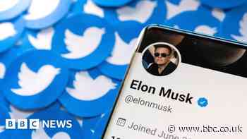 Twitter loses nearly half advertising revenue since Elon Musk takeover