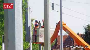 „Spargelzeit“ an der Jenaer Nordschule ist nur von kurzer Dauer