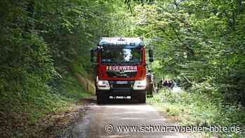 Nach Waldbränden in Calw: Hat Polizei  einen Feuerteufel gefasst?