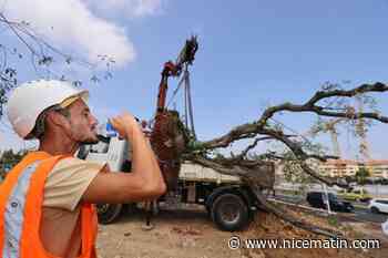 Ces communes du Var et des Alpes-Maritimes où il a fait plus de 40° ce mardi