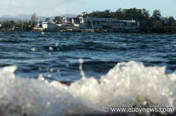 This $775M wastewater plant in B.C. is still seeing odour complaints