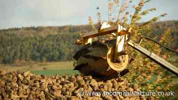 Sugar prices up more than 40%, with further rises expected