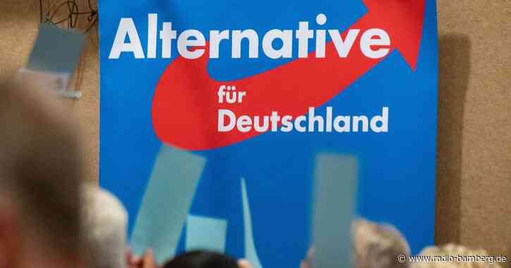 Bayern-AfD: Mit teils radikalen Forderungen auf Stimmenfang