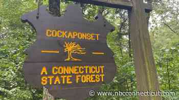 Five CT state swimming areas closed due to water quality