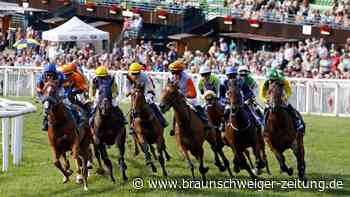 Am Wochenende startet die Harzburger Galopprennwoche