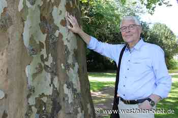 Bad Oeynhausen: Manche Eichen im Kurpark sind fast 375 Jahre alt