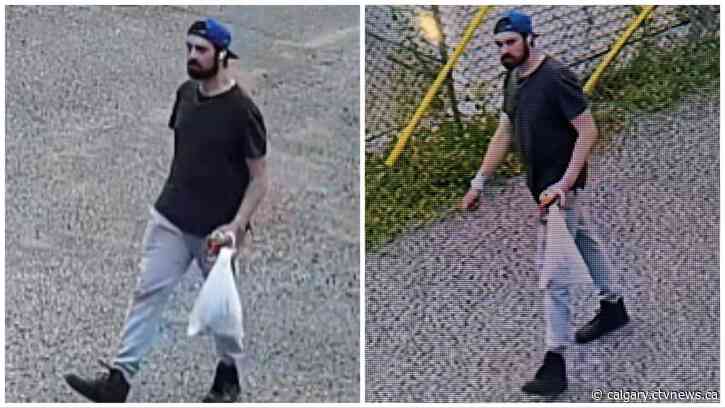 Lethbridge police seek suspect in multiple arsons