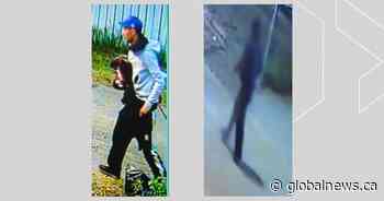 Edmonton police seek suspect in arsons that damaged 6 garages