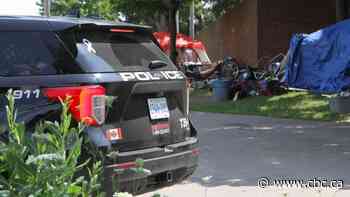 Hamilton man stabbed at Woodlands Park encampment in critical but stable condition, police say