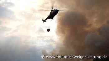 Im vergangenen Jahr Waldfläche von der Größe Borkums verbrannt
