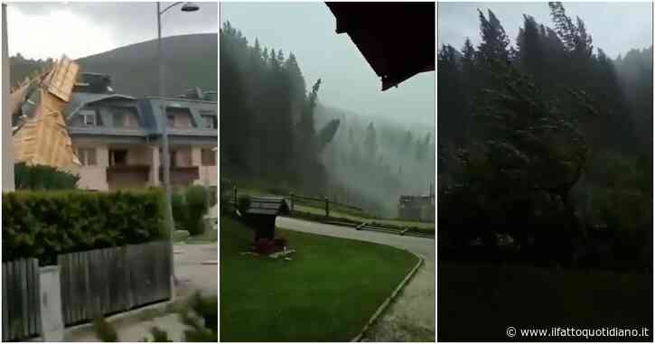 Forti raffiche di vento in Veneto e in Alto Adige, tetti scoperchiati e boschi distrutti: il disastro in presa diretta (video)