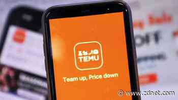 Here's why everything on Temu is so cheap