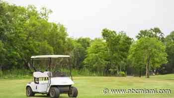 3-year-old driving golf cart hits, kills 7-year-old in Fort Myers