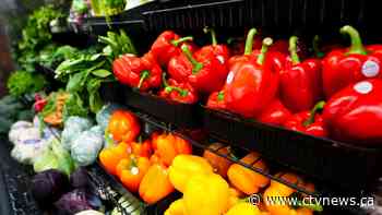 These are the foods costing you more, according to the latest inflation report