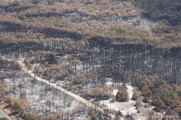 Travis and Williamson Counties now under mandatory burn bans