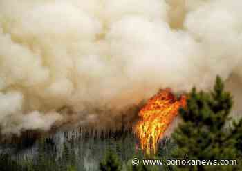 B.C.’s wildfire season is most destructive on record and hasn’t peaked yet: minister