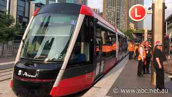 NSW government found liable for losses suffered by retailers due to CBD light rail construction