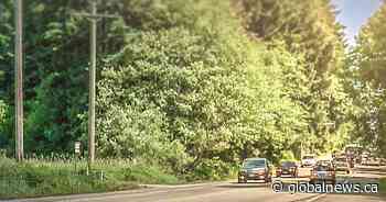 Surrey RCMP investigating string of suspicious fires in Green Timbers Park