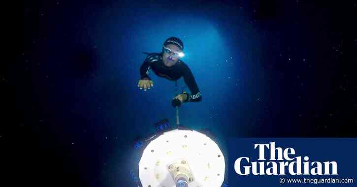 ‘It’s an anti-adrenaline sport’: inside the dangerous world of freediving