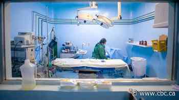 Shortage of anesthesiologists leads to operating room closures in Alberta, doctors say