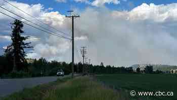 Wildfire near Cranbrook, B.C., more than doubles in size in 24 hours