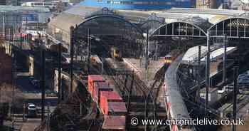 Major rail disruption after animal hit by train between Newcastle and Morpeth