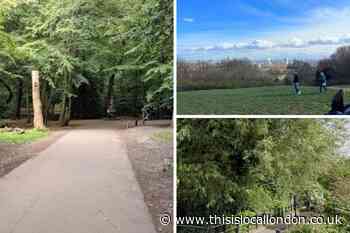 Green Flag award-winning north London parks for a sunny day