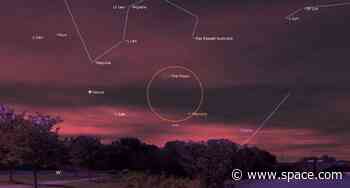 You can see Mars, Venus and Mercury near the crescent moon tonight. Here's where to look.