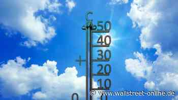Sommer, Sonne, Höchststände: Hitzewelle schickt diese fünf Aktien auf Rekordjagd: Droht bald die Abkühlung?