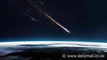 'Meteorite' that struck a French woman was just a regular Earth rock that either fell from a roof, a plane's wheels or was thrown by BURGLARS to see if anyone was home, experts claim