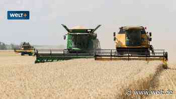 Russlands wahres Kalkül in Sachen Getreide