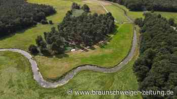 Ausgrabungen auf der Sassenburg werden fortgesetzt