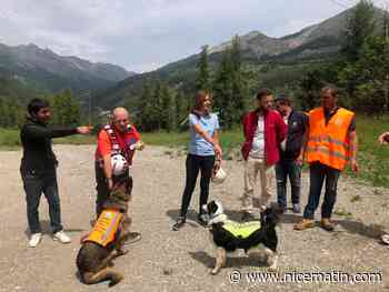 Dans l’arrière-pays, des chiens pour détecter les fuites d’eau