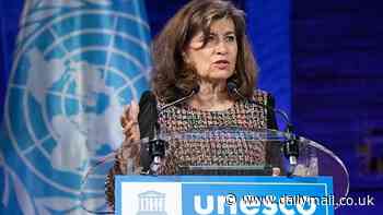 EXCLUSIVE: UN warns brain chips like Elon Musk's Neuralink could be used as 'personality-altering' weapons - as FDA approves tech for human trials