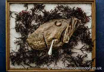 'Fin-to-gill' seafood restaurant Kima opens in Marylebone