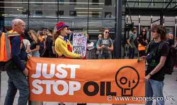 Staggering 97% of Express readers call for Just Stop Oil to end protests