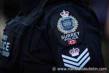 RCMP officers’ group says Mounties shouldn’t be ‘scapegoats’ in police shortage