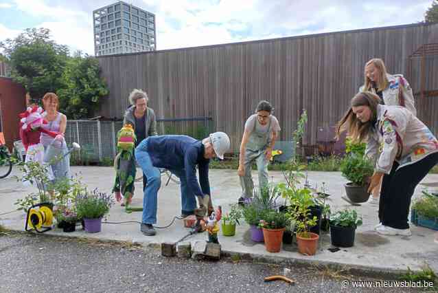 Meer Natuur in de Stad helpt jeugdbewegingen bij eerste ontharding speelplein : “We zetten elke week een droomplek in de kijker”