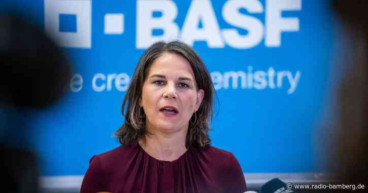 Baerbock wirbt für China-Strategie der Bundesregierung